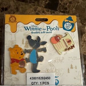 NIP Winnie the Pooh Series Pin June 6 of 12